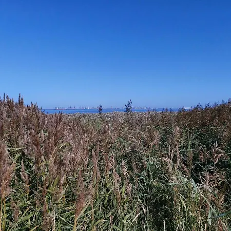 Alte Schule Waddens Apartment