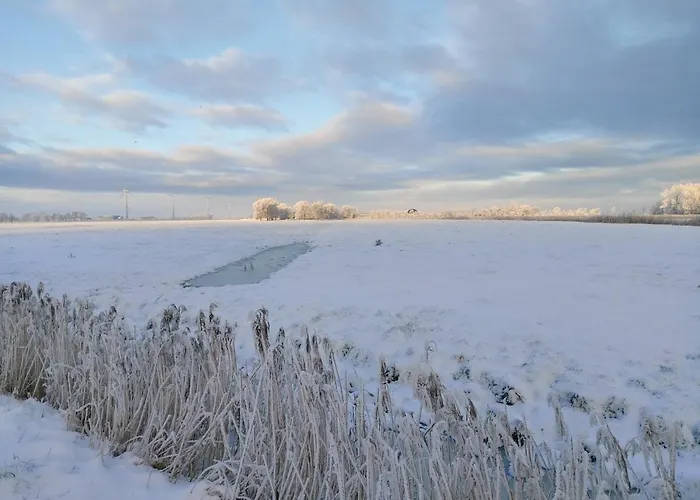 Alte Schule Waddens *